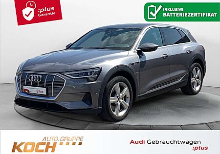Audi e-tron 50 quattro, LED, AHK, Ambiente, LM 20, Te