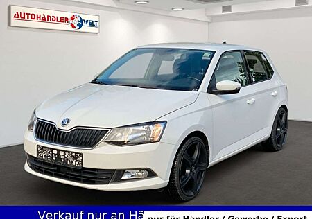 Skoda Fabia 1.0 1. Hand Klima Tempo PDC