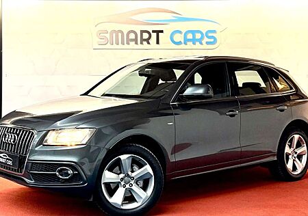 Audi Q5 2.0 TFSI quattro*Leder*Navi*2xS-Line*Pano*