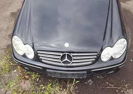 Mercedes-Benz CLK 240 CLK Cabrio 240 Avantgarde