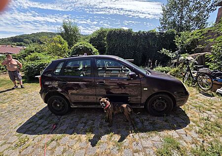 VW Polo Volkswagen Classic 75