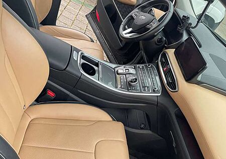 Hyundai Santa Fe Plug-in Hybrid4WD Auto-Pano-Assi II-Pri