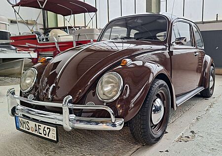 VW Käfer Volkswagen 1200