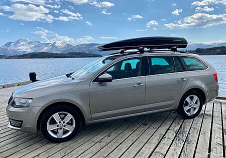 Skoda Octavia +Combi+1.8+TSI+Green+tec+DSG+4x4+Elegance