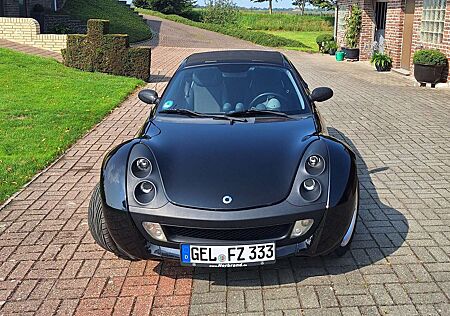Smart Roadster affection