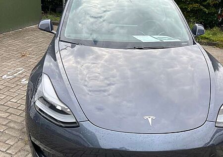 Tesla Model 3 Langstreckenbatt. Allradantrieb Dual Motor