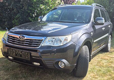 Subaru Forester 2.0X Automatik Exclusive