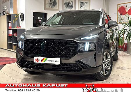 Hyundai Santa Fe 4WD/1.Hd/LED/Leder/Navi/Sound/DAB/Ahk