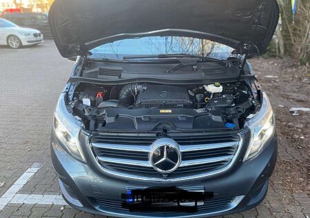 Mercedes-Benz V 250 (BlueTEC) d lang 4Matic 7G-TRONIC Avantgarde