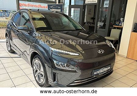 Hyundai Kona Trend Elektro / Glas Schiebe Dach elektr.