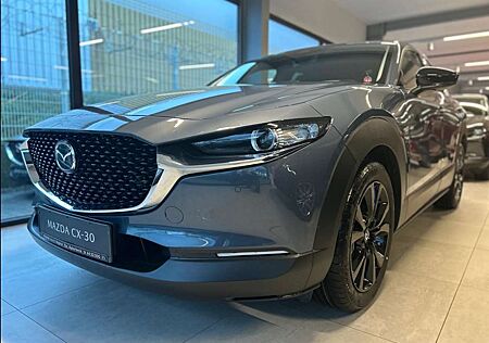 Mazda CX-30 Homura 186 PS *Kamera*Navi*LED*Tageszulassung*