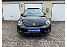 VW Beetle Volkswagen EXCLUSIVE SPORT PANORAMA NAVI LEDER SHZ