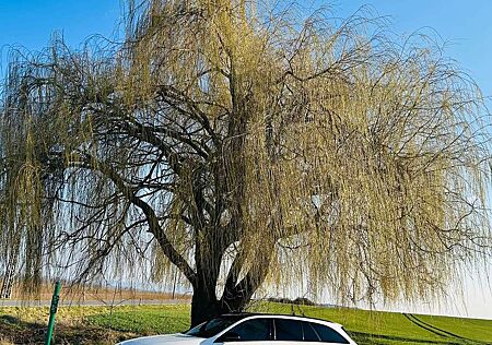 Mercedes-Benz E 43 AMG AMG E 43 4Matic T 9G-TRONIC