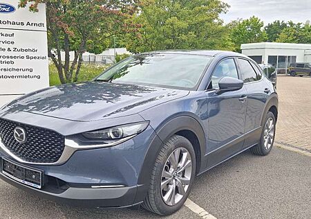 Mazda CX-30 Selection 122PS *Matrix-LED*360°*BOSE*HUD