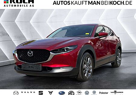 Mazda CX-30 SKY-X 180PS AWD LED 360View SHZ PDC HUD SD
