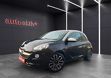 Opel Adam Unlimited/Leder/Winter-Paket/Solar-Protect