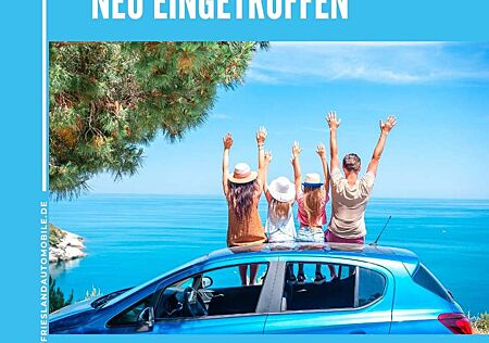 Ford S-Max Hybrid Edition, LED, Navi, Sitzheizung