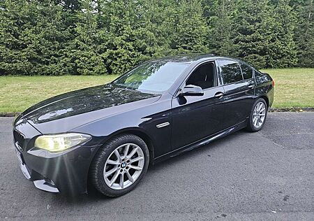BMW 520d 520 F10 xDrive Aut.