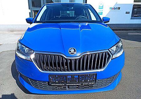 Skoda Fabia 1,0 TSI Combi Ambition AHK SHZG Tempo Modellpflege