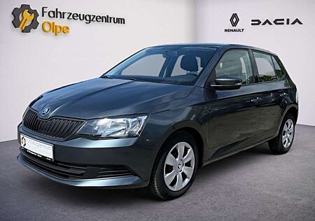 Skoda Fabia Cool Edition, Klima, inkl WR, Garantie
