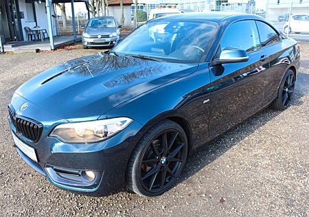 BMW 218 d Coupé Sport Line*metallic*Professional R/C