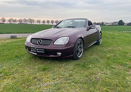 Mercedes-Benz SLK 230 SLK Roadster *DESIGNO PURPUR*XENON*