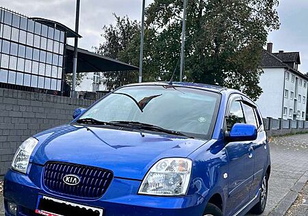 Kia Picanto gebraucht kaufen Kia Picanto 1.1 EX