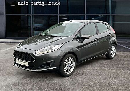 Ford Fiesta 1.0 SYNC-Edition PDC RFK Winter-Paket