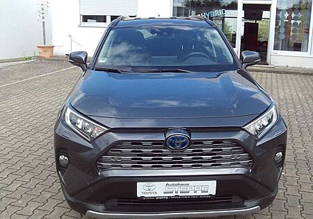 Toyota RAV 4 RAV4 Hybrid 2.5 4x4 Team Deutschland