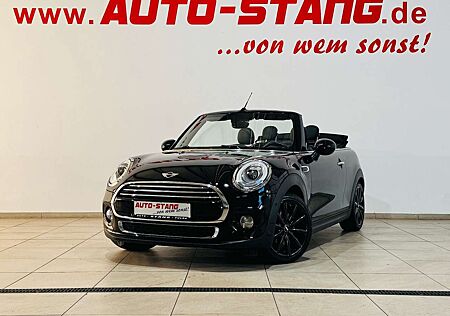 Mini Cooper Cabrio*WINDSCHOTT+SCHECKHEFT+LEDER+NAVI*