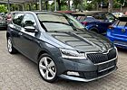 Skoda Fabia Clever|APPLE CAR|TEMPOMAT|LED-SCHEINW.|PDC