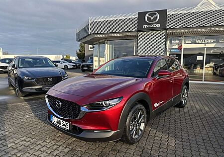 Mazda CX-30 5WGN 2.0L e-SKYACTIV X 186ps 6AT AWD Takumi BLOP