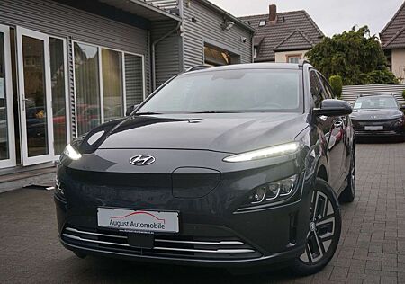 Hyundai Kona 2WD Navi KRELL Totwink PDC ACC LKA Carplay