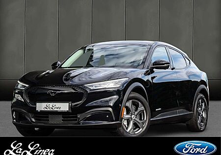 Ford Mustang Mach-E Basis Leder 360 Grad Kamera