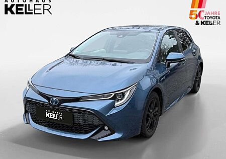 Toyota Corolla Hybrid Team D