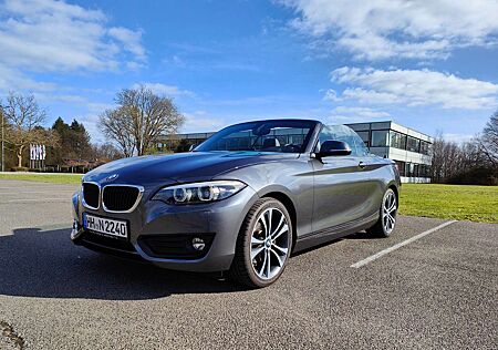 BMW 220d 220 Cabrio Aut. LED LEDER AHK HiFi Advantage