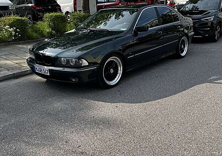 BMW 523i 523