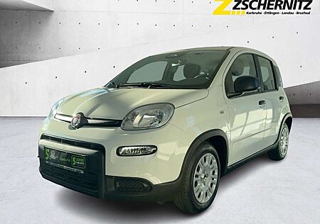 Fiat Panda 1.0 Pandina Cross PDC+Facelift+SpurH