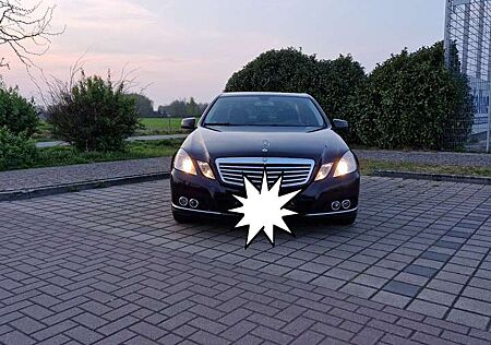 Mercedes-Benz E 250 CDI DPF BlueEFFICIENCY Automatik Elegance