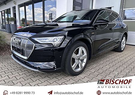 Audi e-tron 55 quattro advanced Kamera T-Leder CarPlay