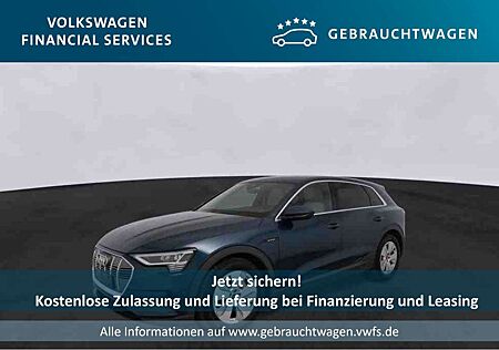 Audi e-tron Basis quattro 50 Automatik PDC*Tempo*Klim