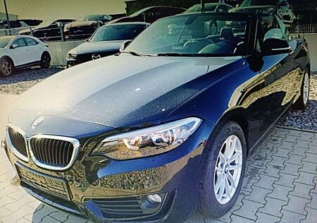 BMW 218 i Cabrio Luxury Line Navi Leder Windschott !