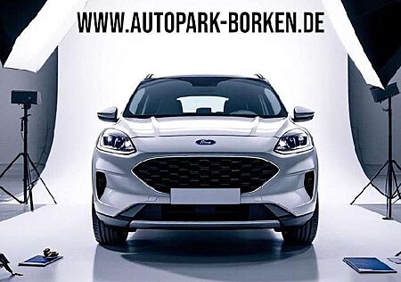Ford Puma Hybrid ST-Line X Panorama Winter Paket AHK
