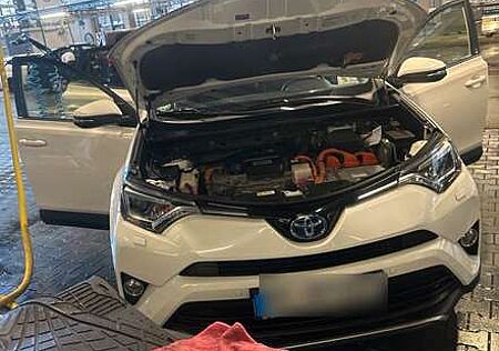 Toyota RAV 4 2.5 4x2 Hybrid Edition S+