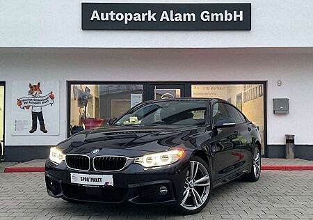 BMW 420 xDrive M Sport ACC H&K HeadUp RFK