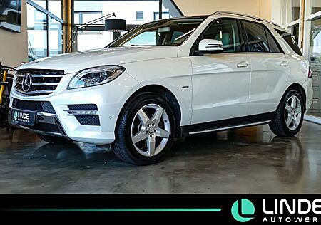 Mercedes-Benz ML 350 CDI AMG-Line |LEDER|NAVI|PANO.|AHK|19 ALU