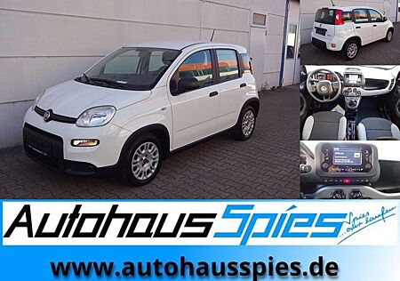 Fiat Panda 1.0 Mild Hybrid Base Klima DAB