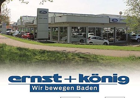 Ford Kuga 2.5 Duratec PHEV TITANIUM WinterPaket+GRA