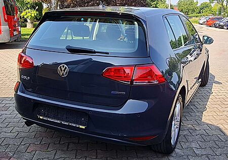 VW Golf Volkswagen Comfortline BlueMotion 1.6TDI -Navi PDC v+h SHZ-