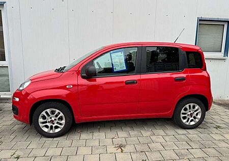 Fiat Panda More